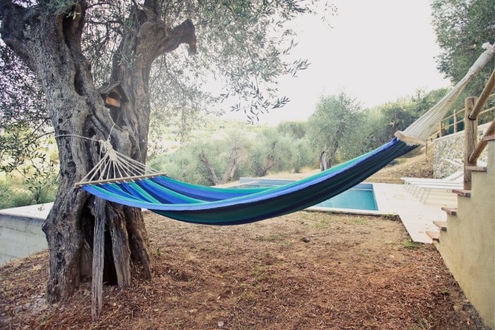 One tree hammock camping-4