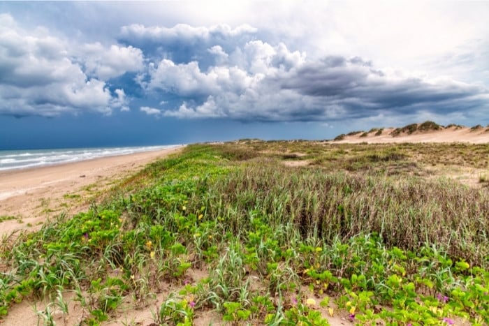 Padre Island National Seashore Texas