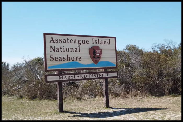 Check In and Check Out